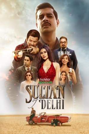 Sultan Of Delhi ❌